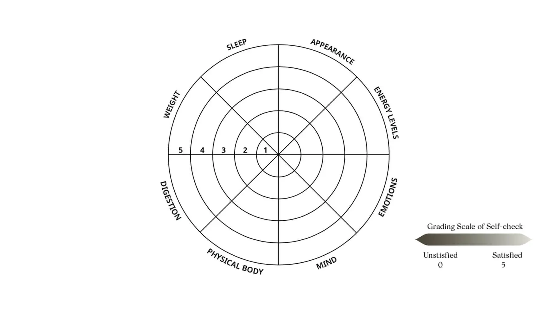 wheel of wellness 1 2