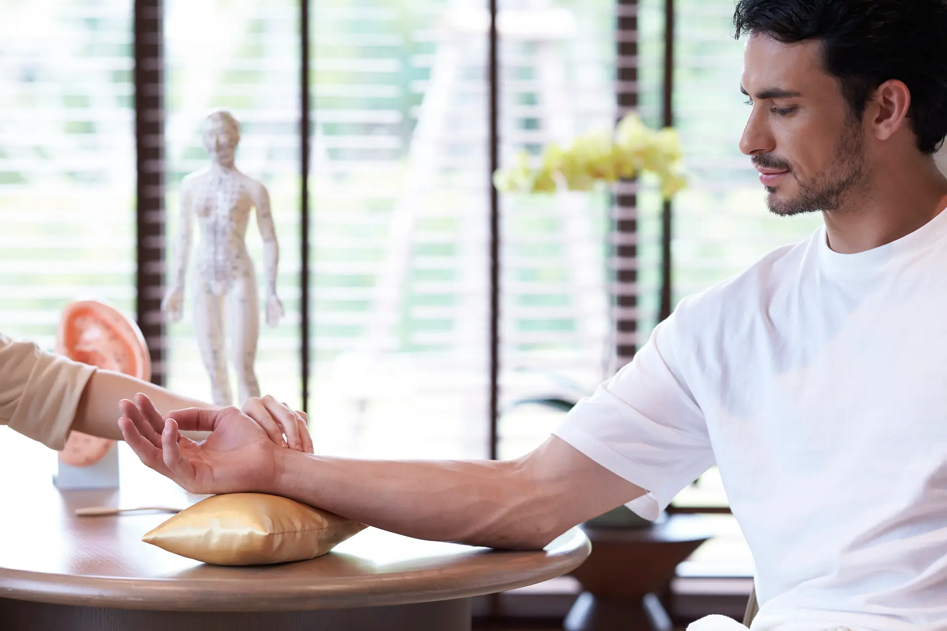 TCM Doctor Consultation